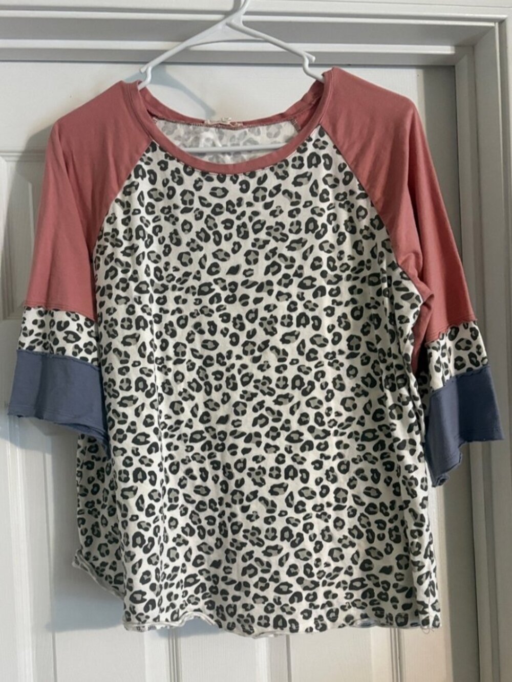 Leopard Print Raglan Top with Mauve and Slate Blue Sleeves